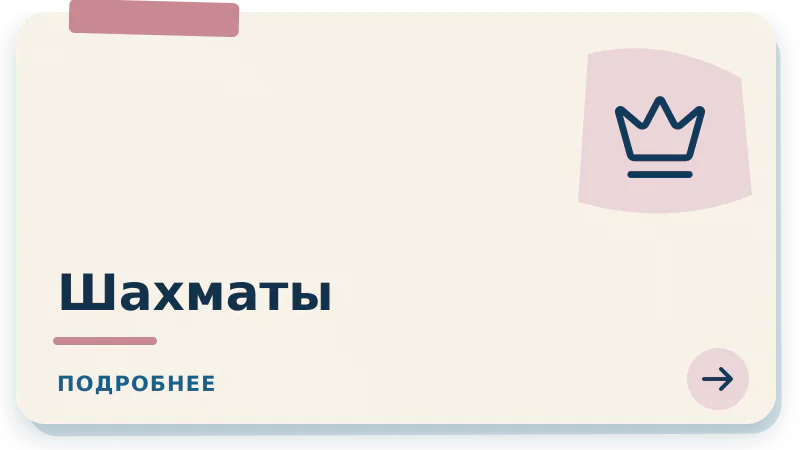 Шахматы